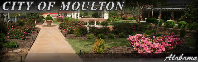 Moulton, AL banner photo of walkway and landscaping